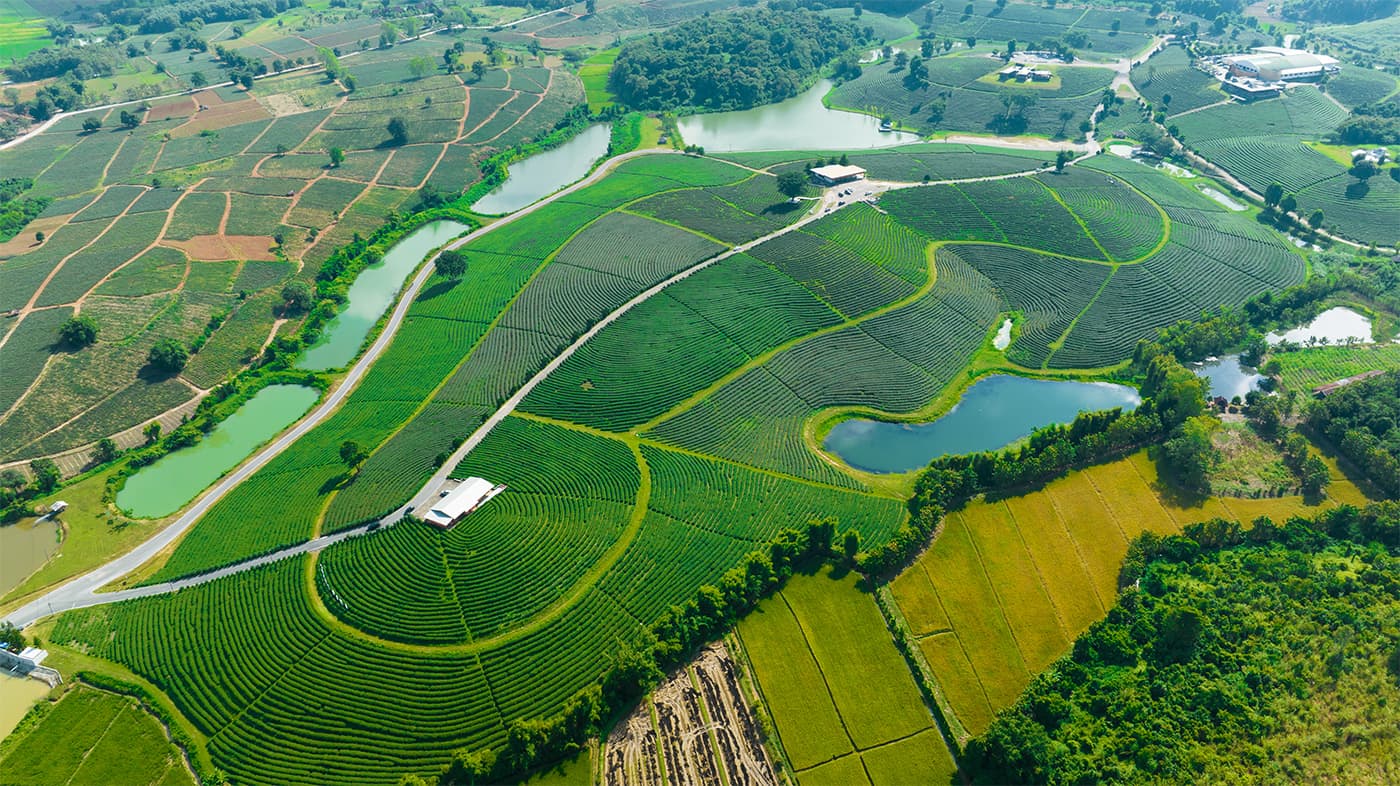 Safeway Pest Control