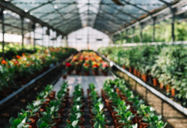 Resources and Research Safeway Pest Control